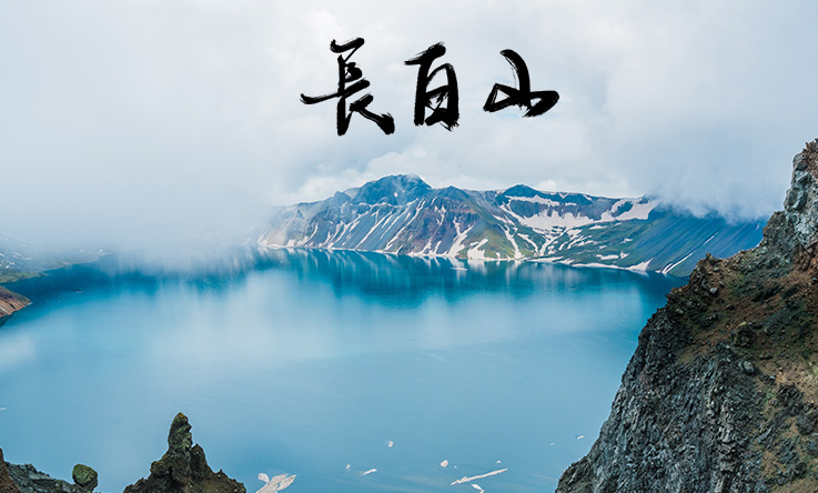 黑果花楸果酒